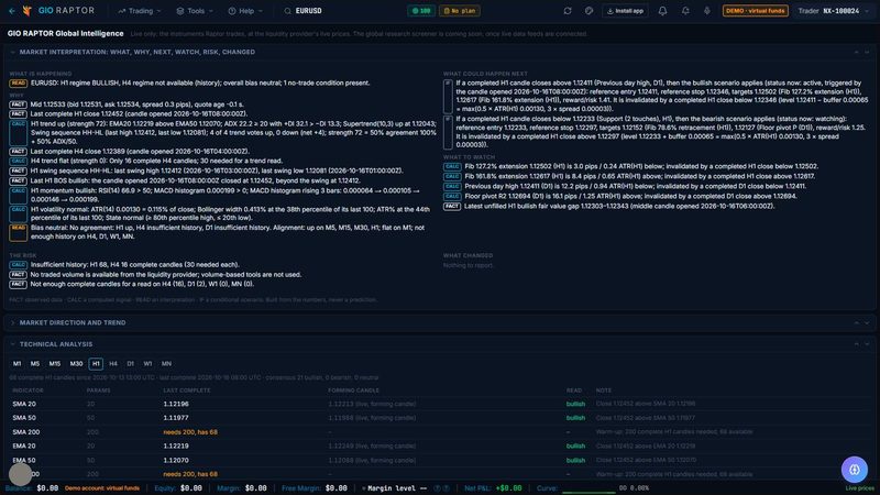 Screenshot of What, why, what next in 777 Raptor, on a demo account